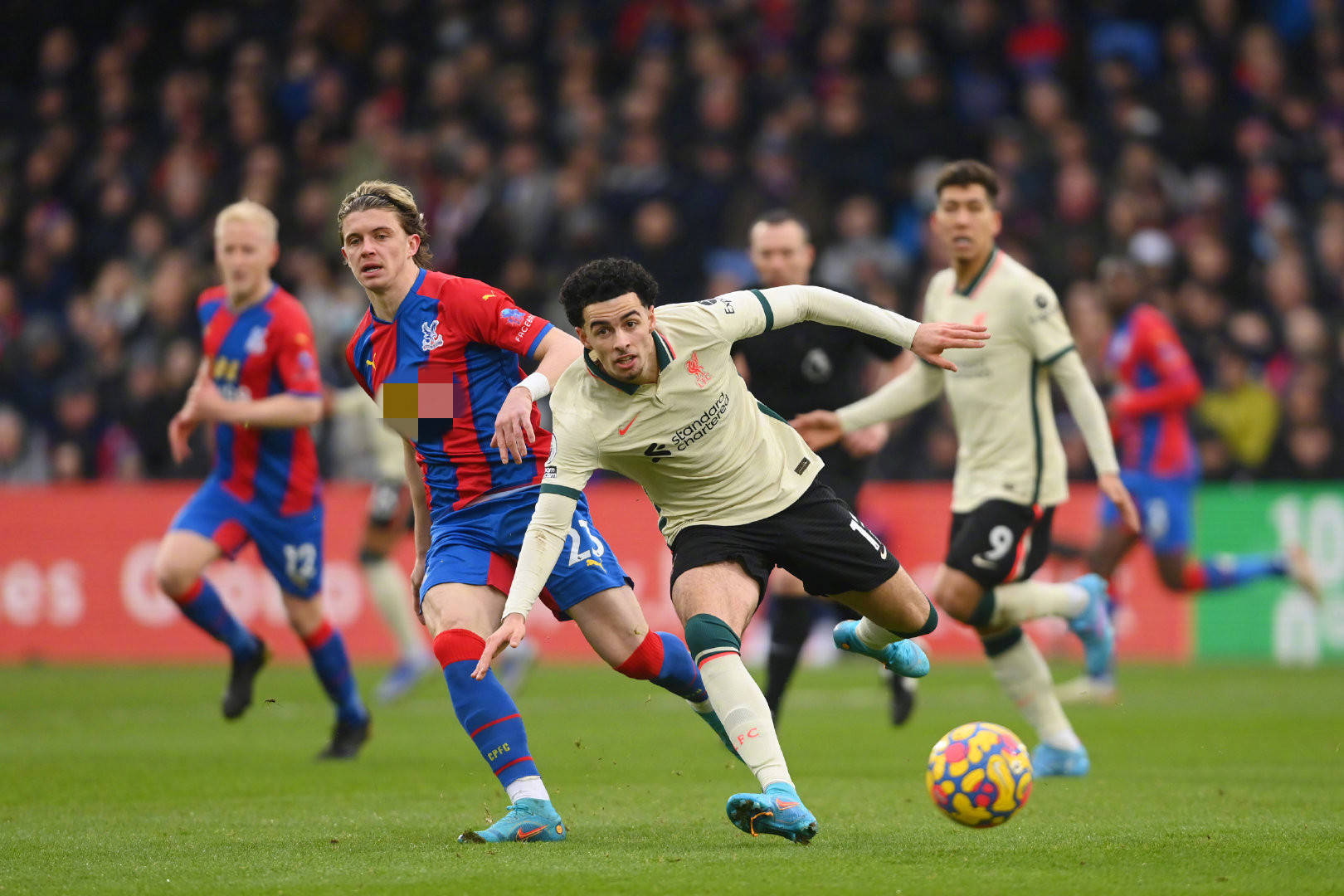 的大天地 的大天地